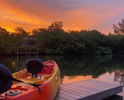 Sunset kayaking anna maria island